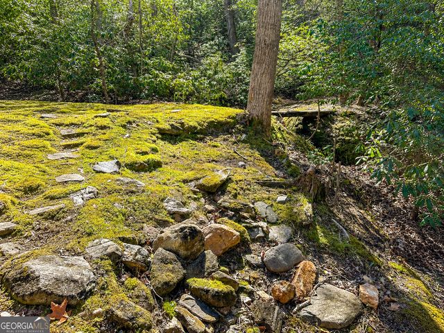 480 Wahu Hu Drive, Hiawassee, GA 30546