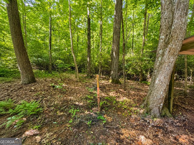 480 Wahu Hu Drive, Hiawassee, GA 30546