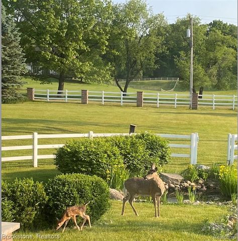 1077 Holden, Milford, MI 48381