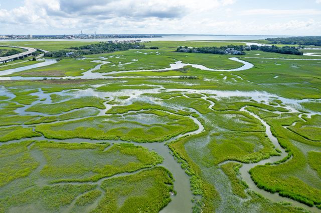 700 Daniel Ellis Drive 8106, Charleston, SC 29412