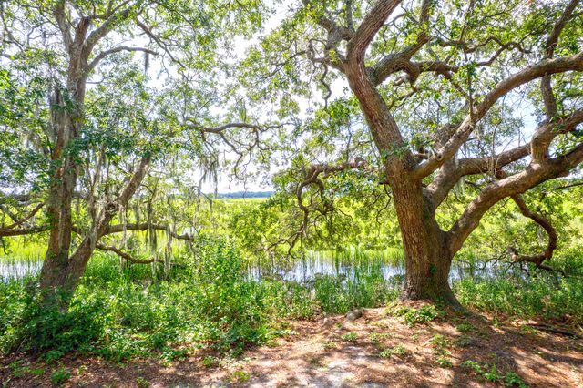 700 Daniel Ellis Drive 8106, Charleston, SC 29412