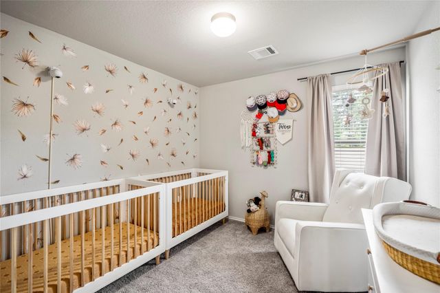 210 Bellewood Manor Drive, Magnolia, TX 77354