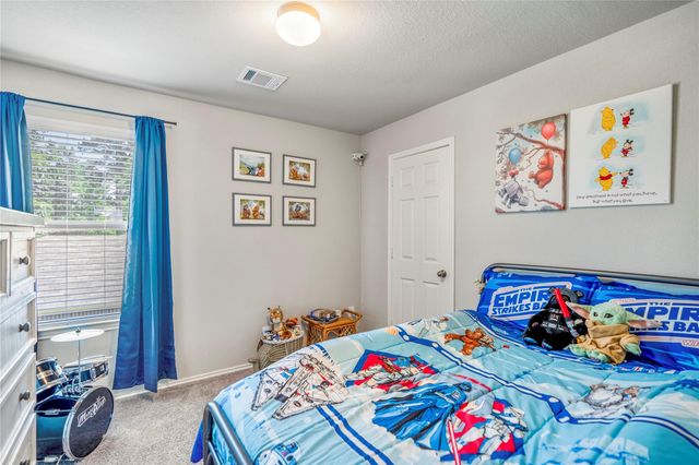 210 Bellewood Manor Drive, Magnolia, TX 77354