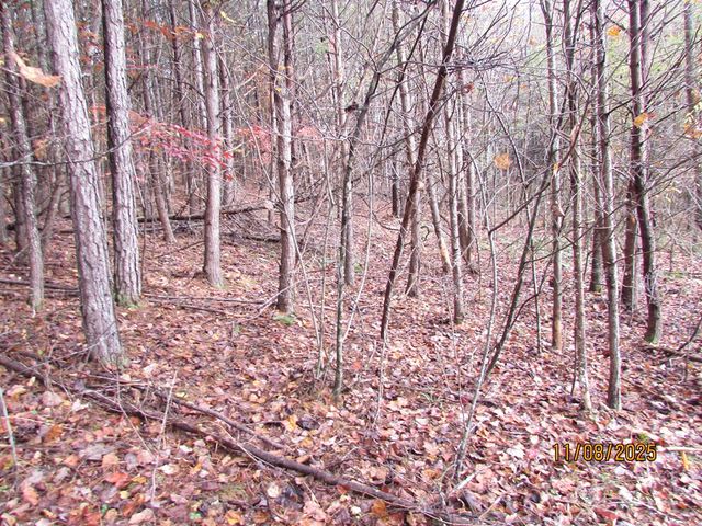 Tract 5 Wikle Road, Hayesville, NC 28904