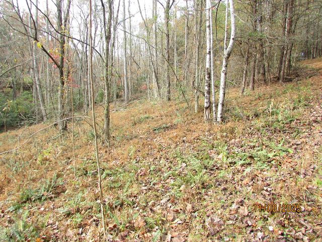 Tract 5 Wikle Road, Hayesville, NC 28904