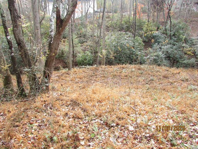 Tract 5 Wikle Road, Hayesville, NC 28904