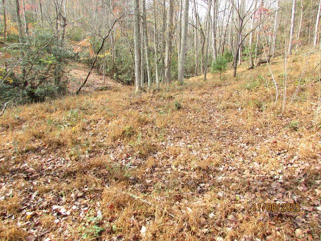 Tract 5 Wikle Road, Hayesville, NC 28904