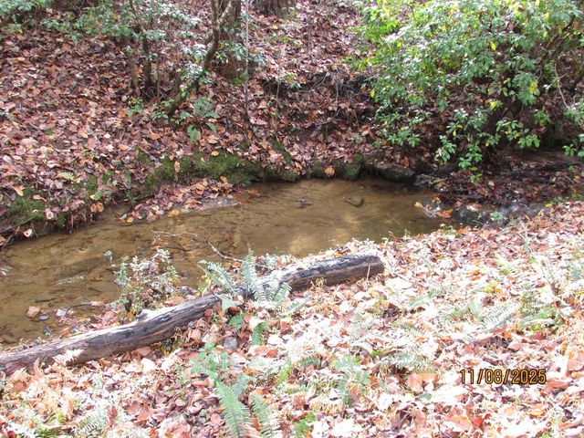 Tract 5 Wikle Road, Hayesville, NC 28904