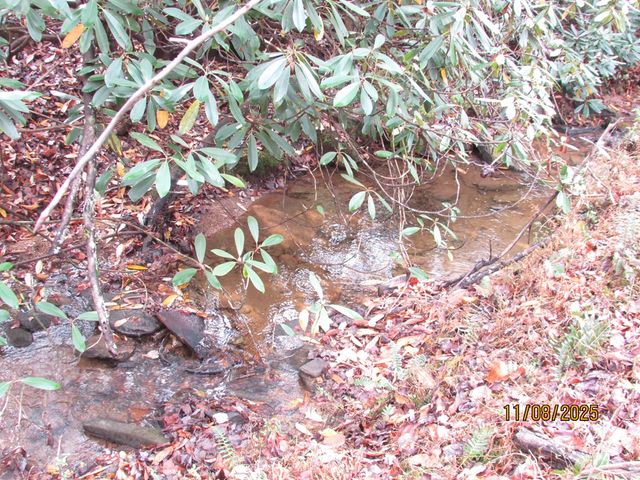 Tract 5 Wikle Road, Hayesville, NC 28904