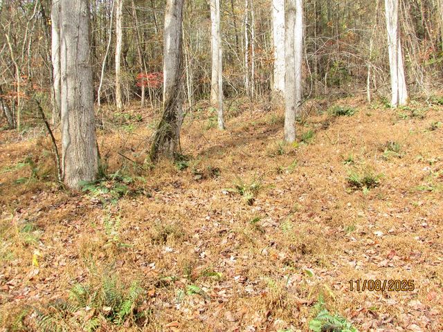 Tract 5 Wikle Road, Hayesville, NC 28904