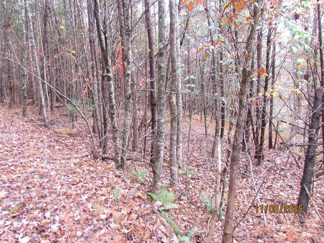Tract 5 Wikle Road, Hayesville, NC 28904
