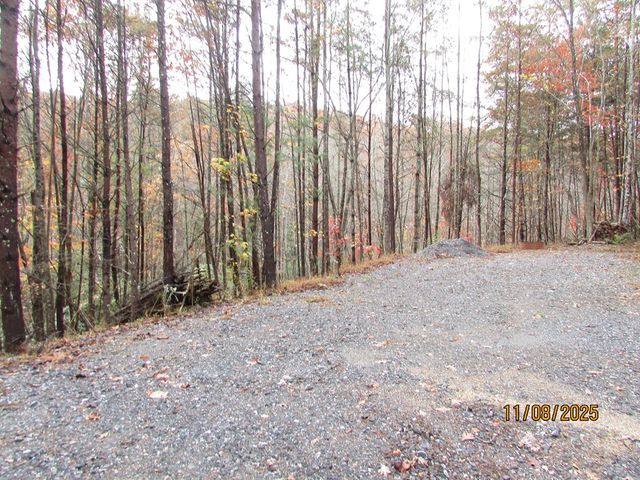 Tract 5 Wikle Road, Hayesville, NC 28904