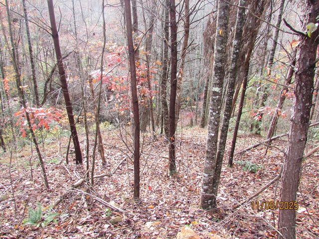Tract 5 Wikle Road, Hayesville, NC 28904