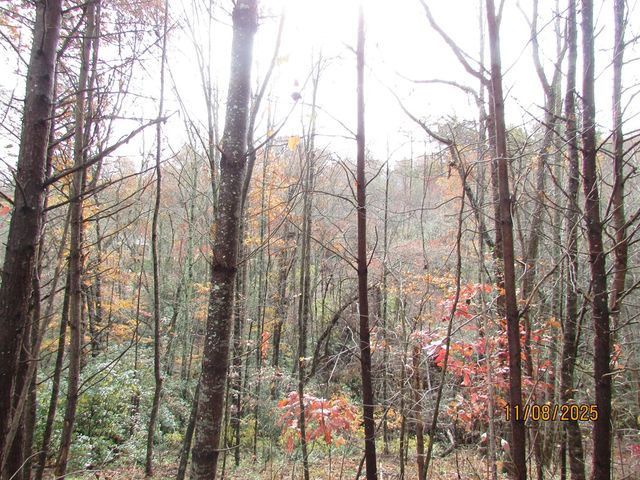 Tract 5 Wikle Road, Hayesville, NC 28904