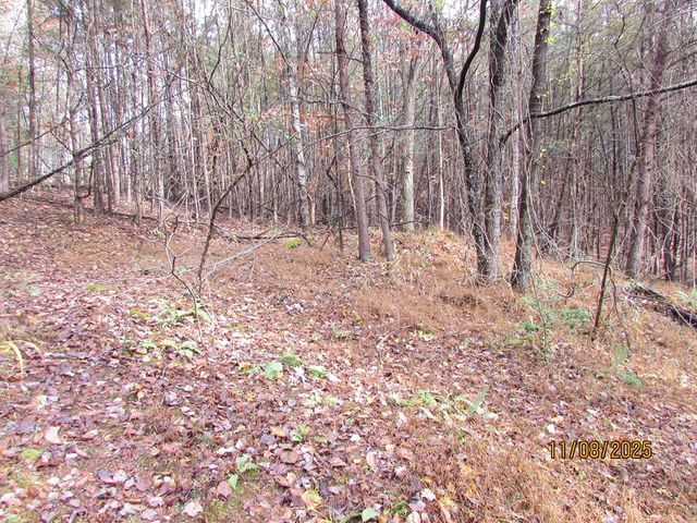 Tract 5 Wikle Road, Hayesville, NC 28904