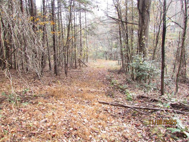 Tract 5 Wikle Road, Hayesville, NC 28904