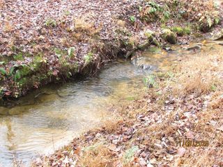Tract 5 Wikle Road, Hayesville, NC 28904