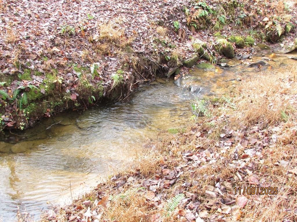 Tract 5 Wikle Road, Hayesville, NC 28904
