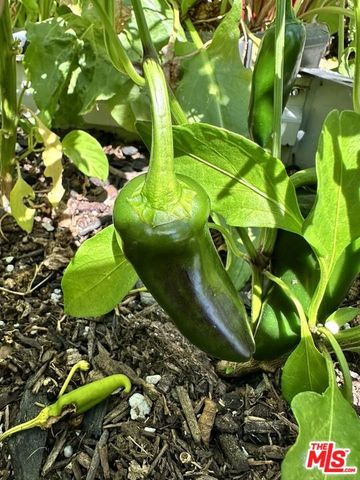 1625 18th Street, Manhattan Beach, CA 90266