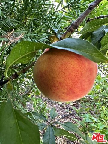 1625 18th Street, Manhattan Beach, CA 90266