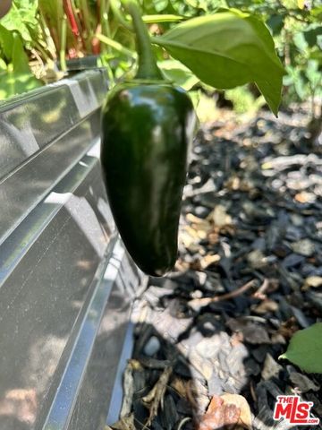 1625 18th Street, Manhattan Beach, CA 90266