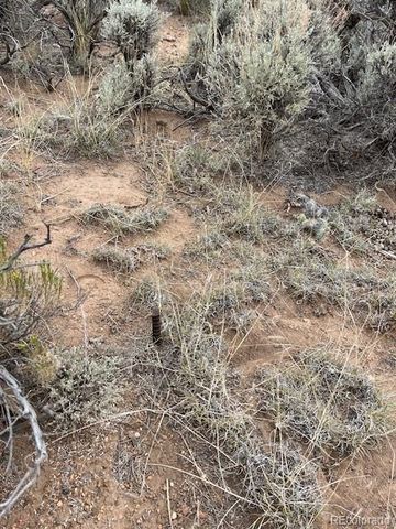 Lot 3034 Saudir Road, Fort Garland, CO 81133