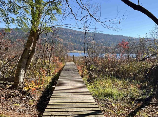 31 Post Pond Lane, Lyme, NH 03768