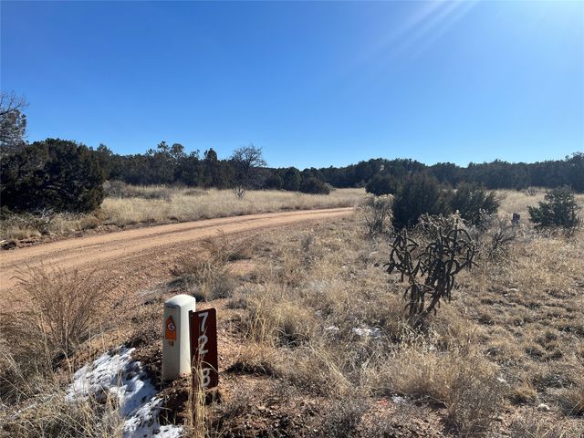 78 Calle Josephina, Santa Fe, NM 87506