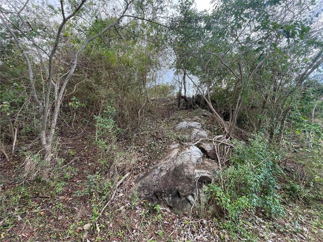 3 WINDHORSE FARM, Vieques, PR 00765