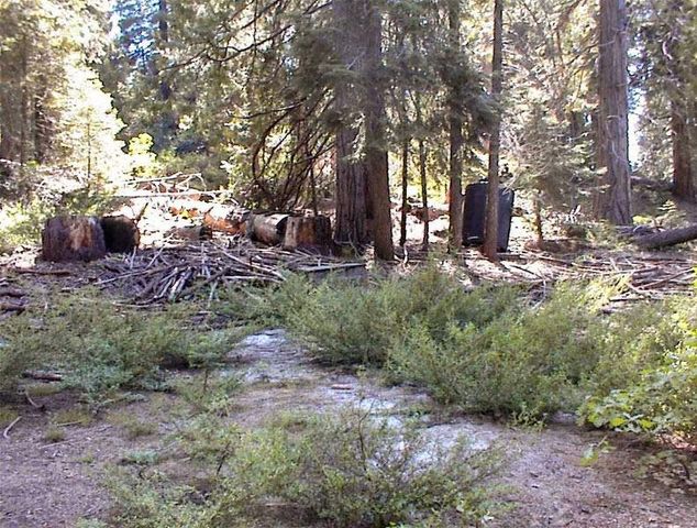 50248 Hwy 180, Miramonte, CA 93641