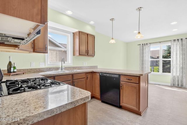 10919 S Lakes Drive, Perrysburg, OH 43551
