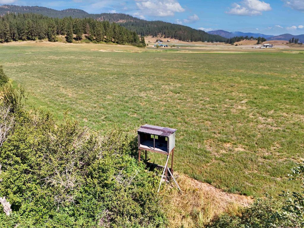 2536 Heine Rd, Chewelah, WA 99109 photo 12
