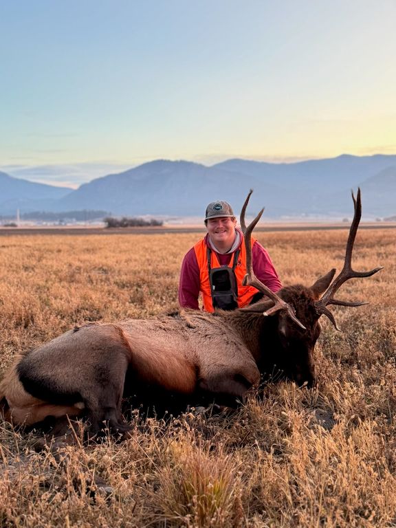 2536 Heine Rd, Chewelah, WA 99109 photo 14