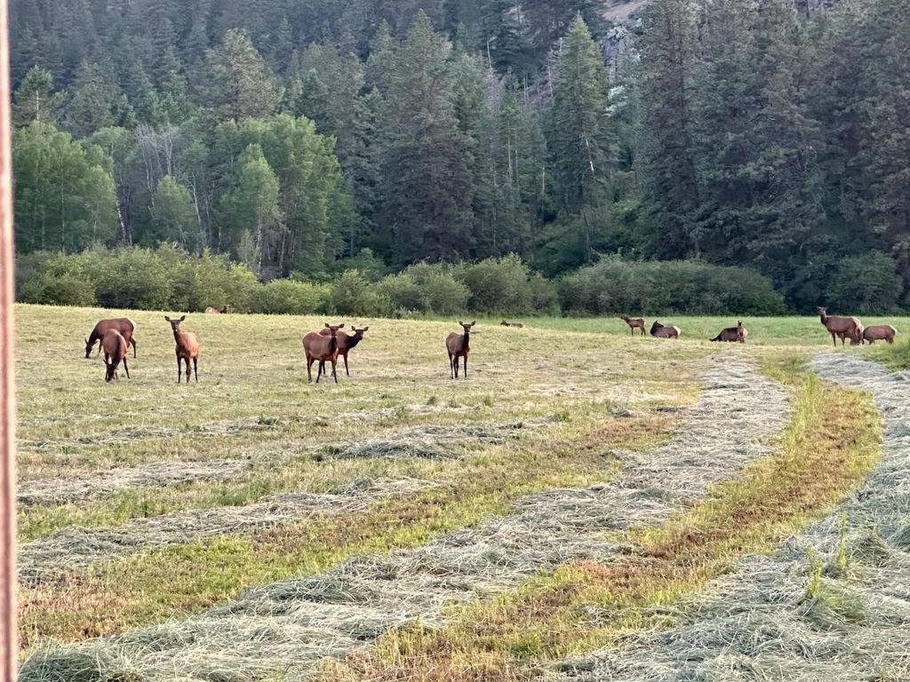 2536 Heine Rd, Chewelah, WA 99109 photo 16