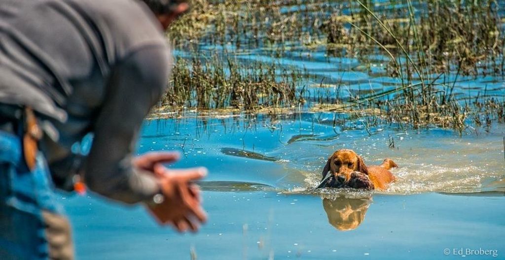 2536 Heine Rd, Chewelah, WA 99109 photo 19