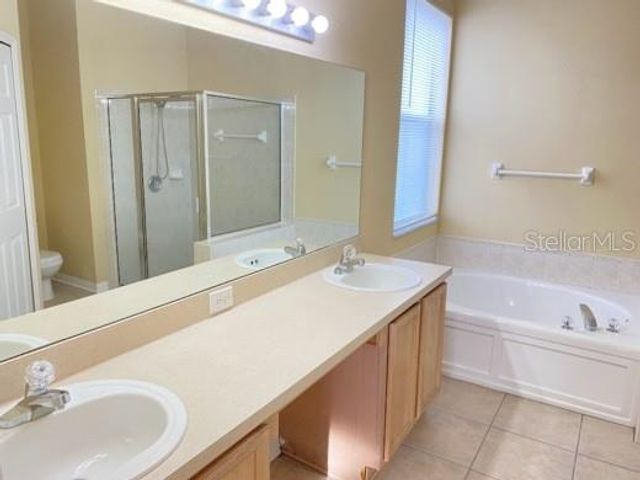 10312 BIRDWATCH DRIVE, Tampa, FL 33647