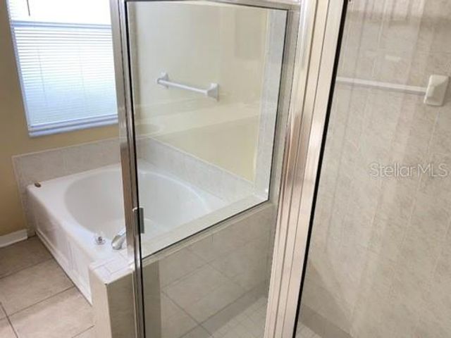 10312 BIRDWATCH DRIVE, Tampa, FL 33647