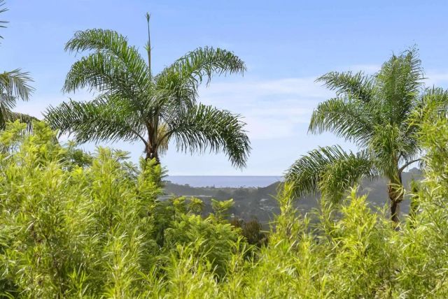 3401 Adams Run, Encinitas, CA 92024