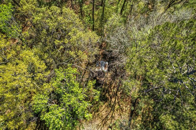 57 Lake Forest Circle, Conroe, TX 77384