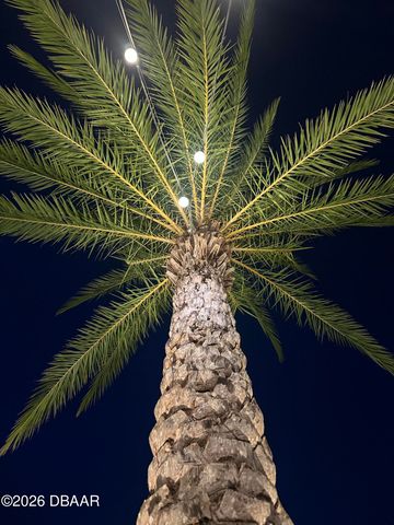 533 Hang Loose Way, Daytona Beach, FL 32124