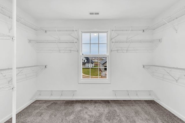 658 Marblewing Ct, Clarksville, TN 37043