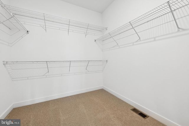 141 REDSTART DR, Chester, MD 21619