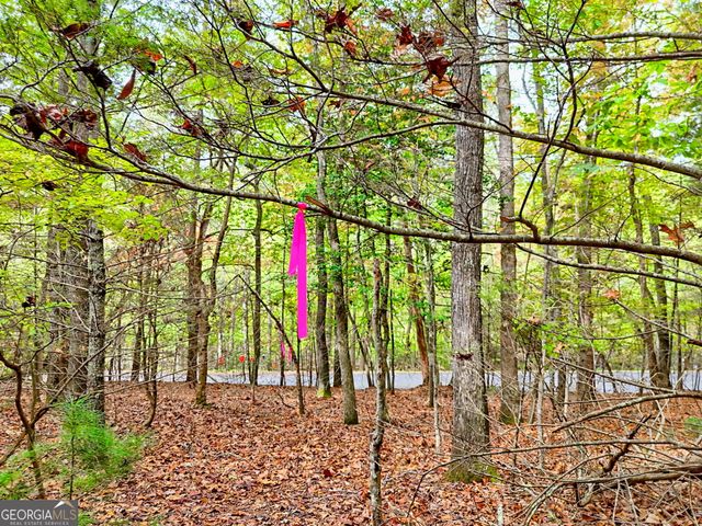 10 ACRES Mount Pleasant Church Road, Blairsville, GA 30512