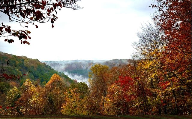 2318 Little Bend Road, Signal Mountain, TN 37377