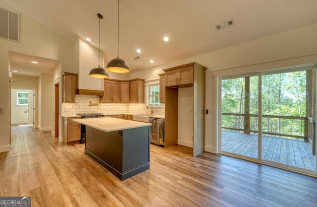 99 LOFTIS MTN Trail, Blairsville, GA 30512