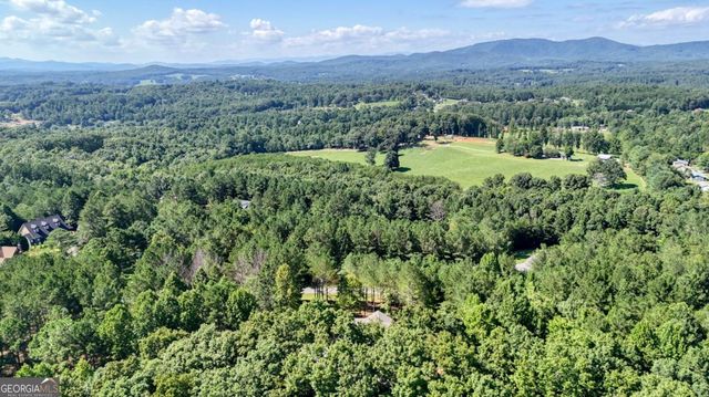 99 LOFTIS MTN Trail, Blairsville, GA 30512