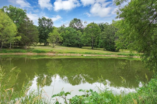 6770 Bly Trice Rd, College Grove, TN 37046