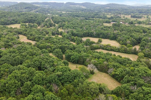 6770 Bly Trice Rd, College Grove, TN 37046