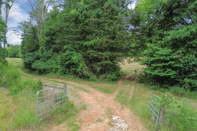 6770 Bly Trice Rd, College Grove, TN 37046