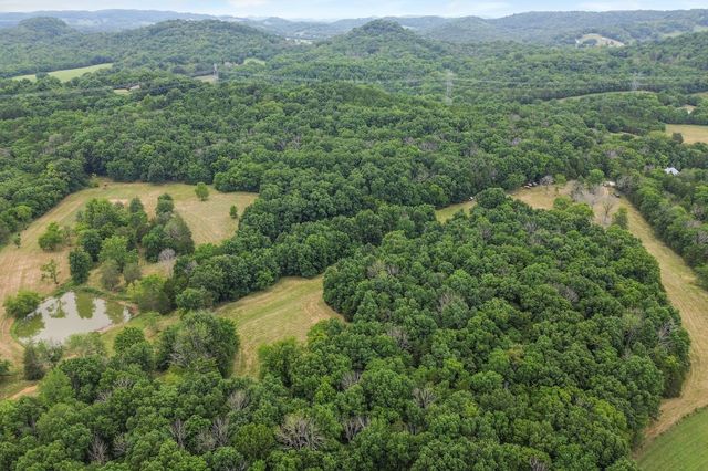 6770 Bly Trice Rd, College Grove, TN 37046